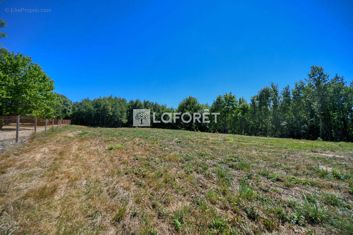 Terrain à LISLE-SUR-TARN