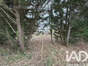 Photo 1 - Terrain à ROMORANTIN-LANTHENAY