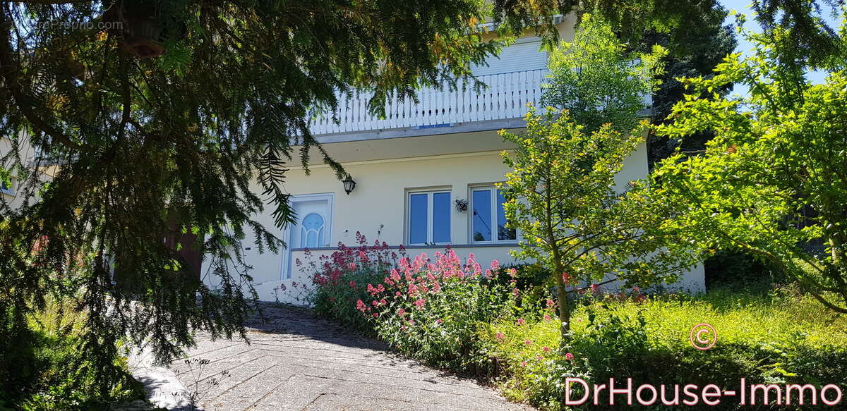 Maison à BERGHOLTZZELL