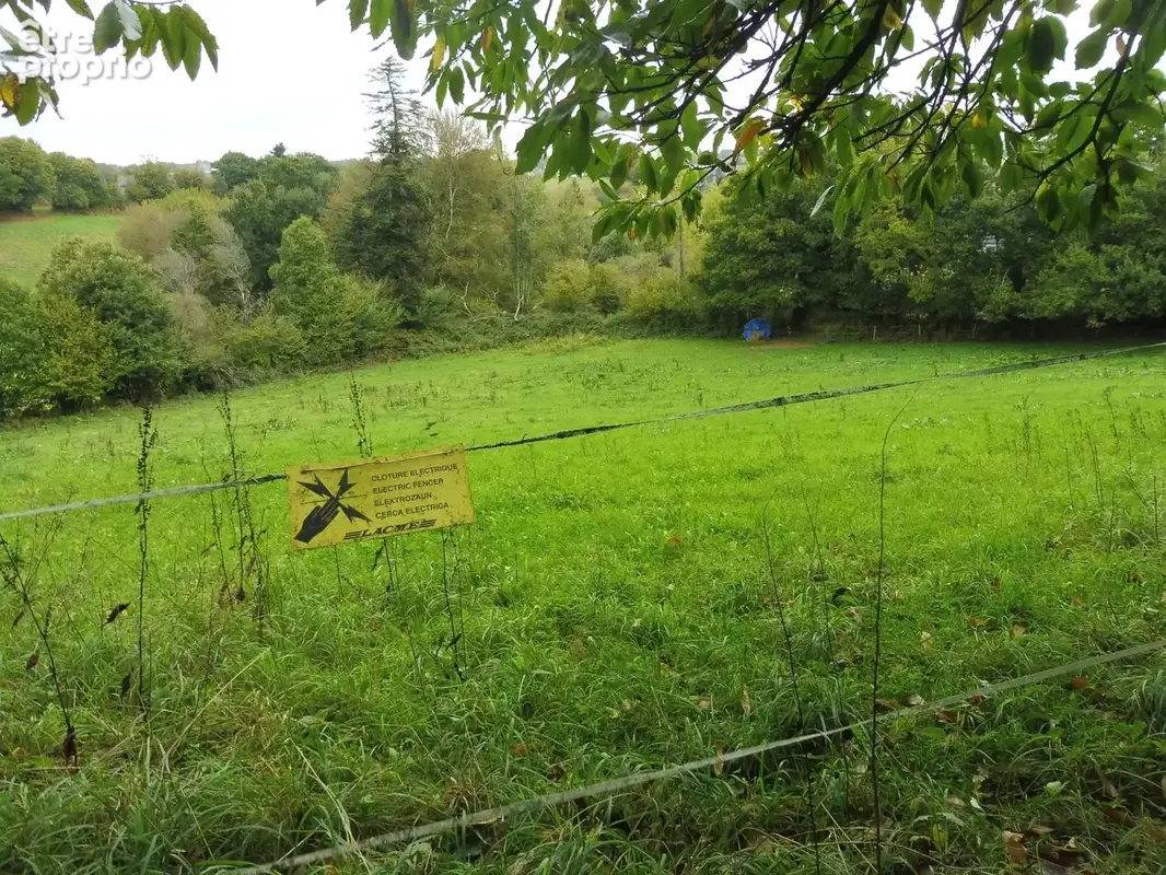 À la campagne, maison avec 2 ha de terrain - photo 19