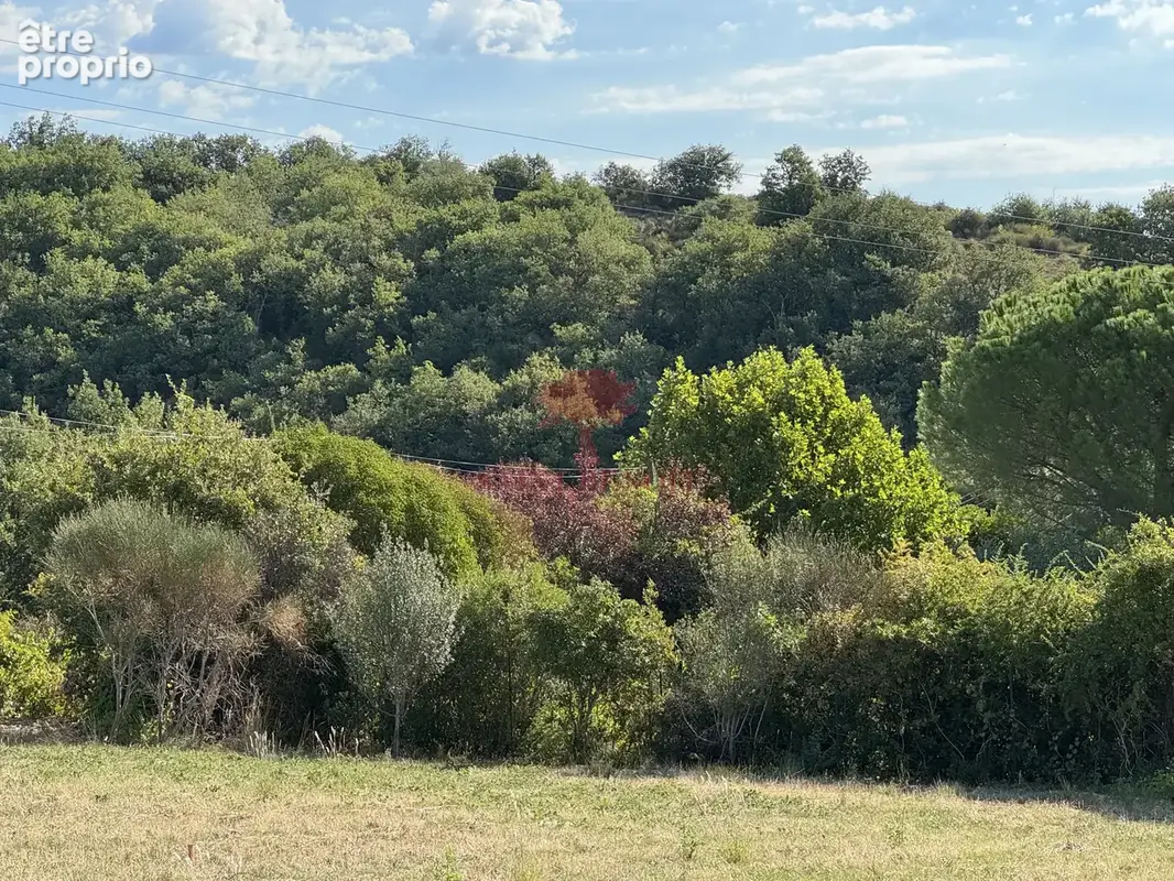 Loiras vente terrain a batir - photo 9