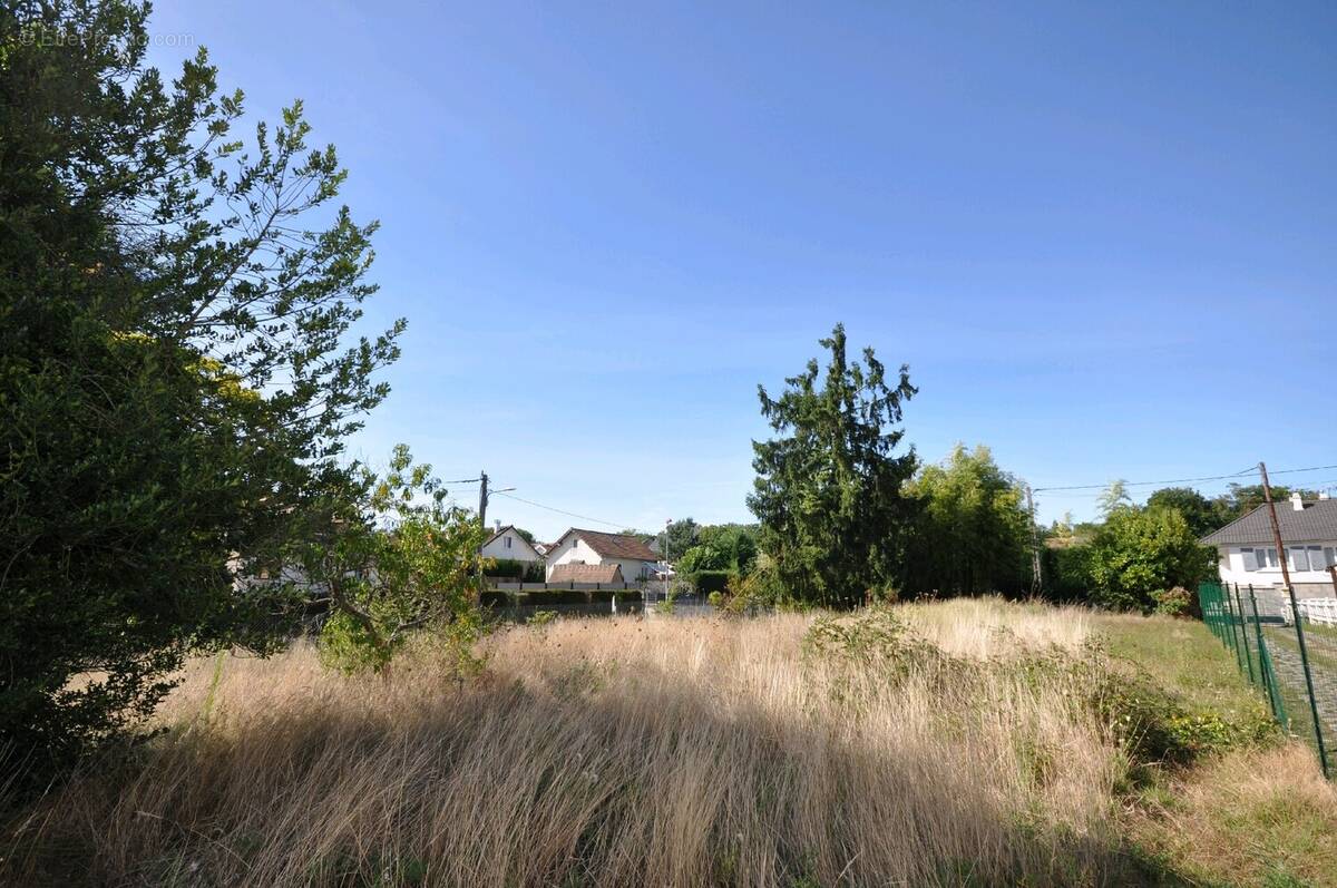 Terrain à BRUYERES-LE-CHATEL