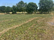 Terrain à MORNAC-SUR-SEUDRE