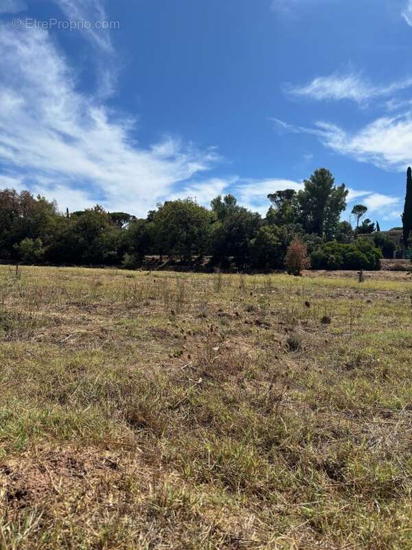 Terrain à FREJUS