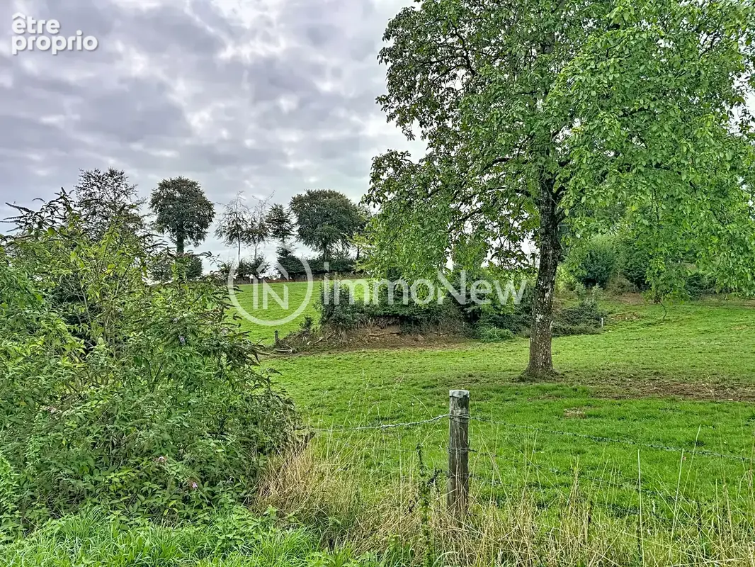 Maison a renover 100 m2 sur terrain 3300 m2 au fond d un chemin - photo 2