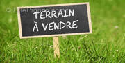 Terrain à IZON