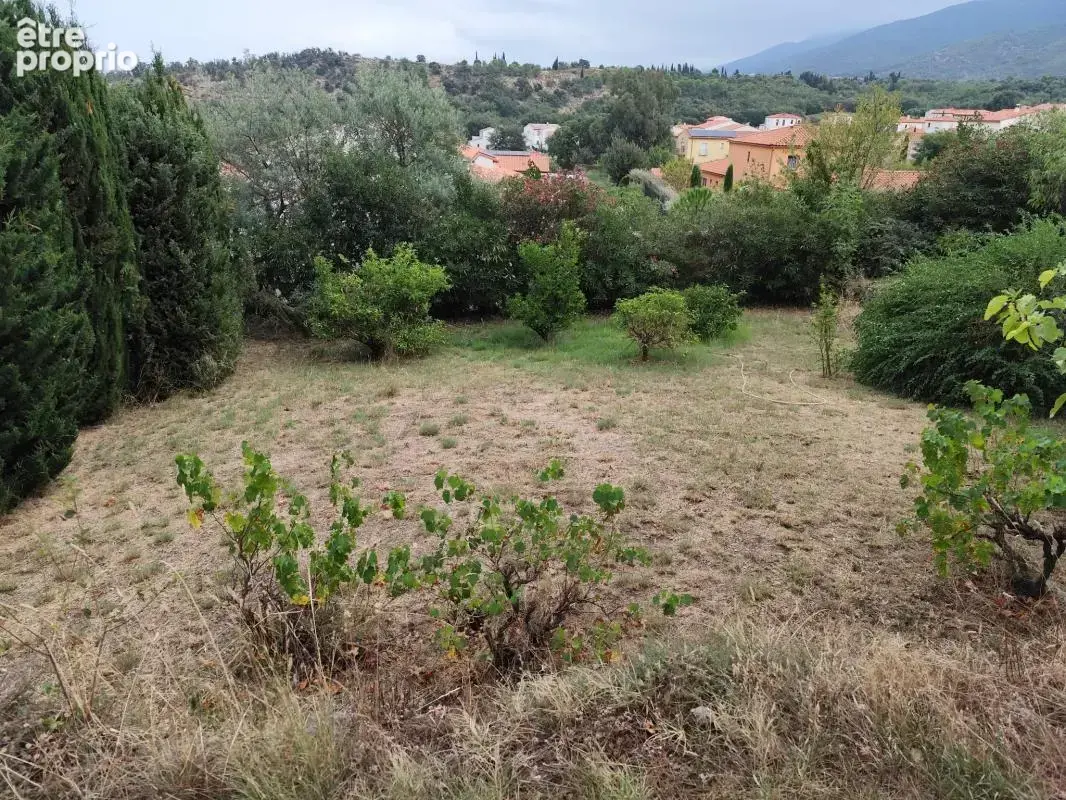 Terrain constructible avec vue sur les Albères - photo 2