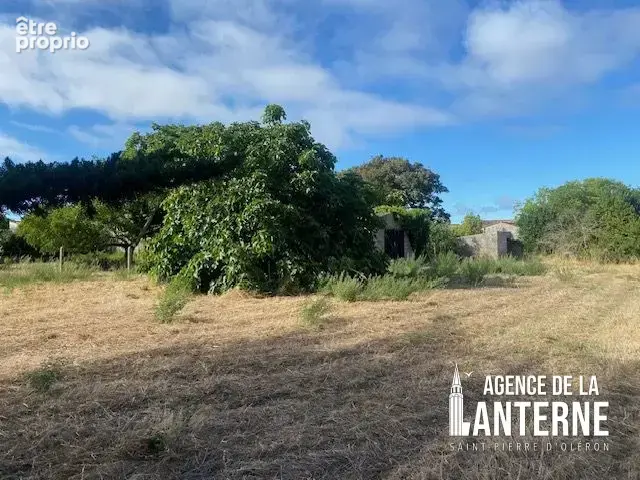 Terrain 1 550 m² à vendre à Saint-Pierre-D'oleron (17310) - photo 2