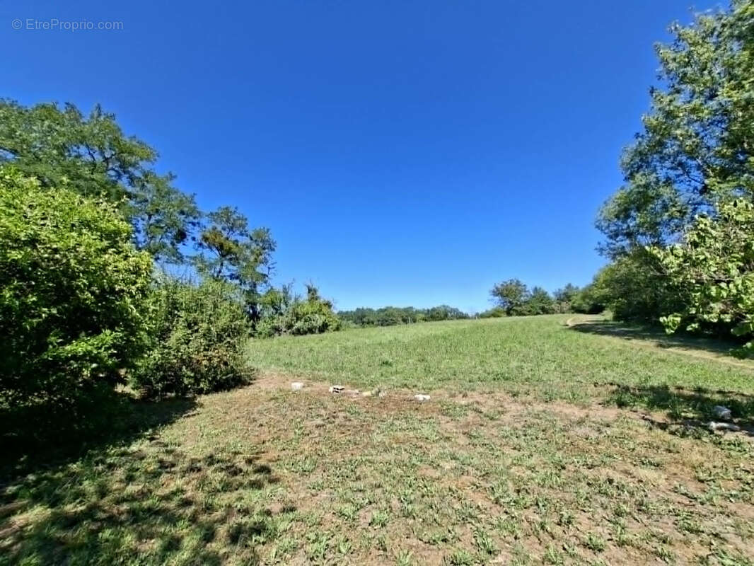 Corps de ferme des années 70 avec dépendances et 5 Hectares de terres et bois d'un seul tenant. - photo 11