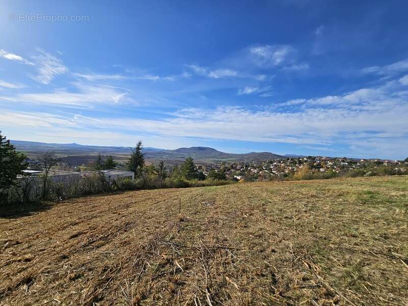 Terrain de 3092 m2 dont 1573m2 à batir à Veyre-Monton - photo 4