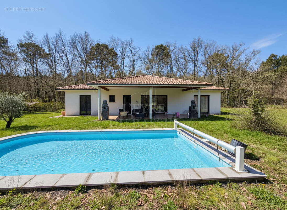 Maison à SALLES 131 m2 sur parcelle agricole de plus de 12000 m² - photo 3