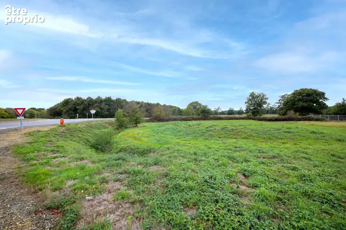 Terrain - 1 805 m² - Saint-Aubin-du-Cormier (35) - photo 2