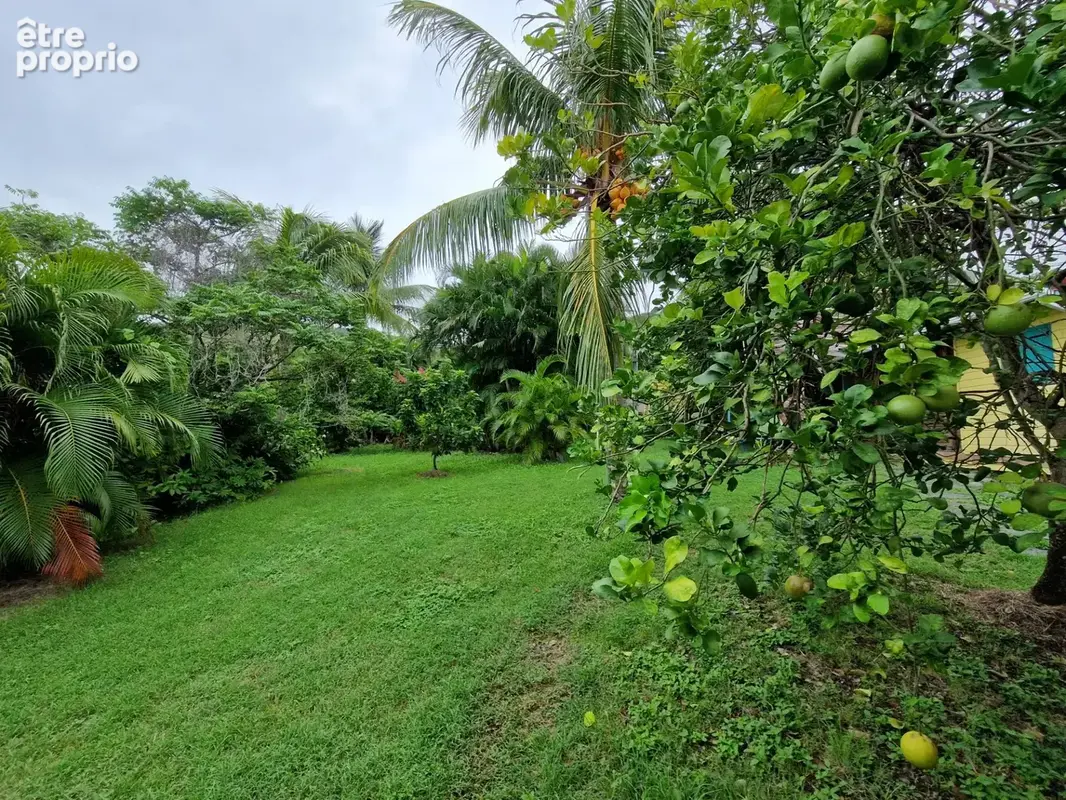 DESHAIES, Villa plage à pied, 2 bungalow, garage et piscine, sur 1 965 m² de terrain arboré - photo 5