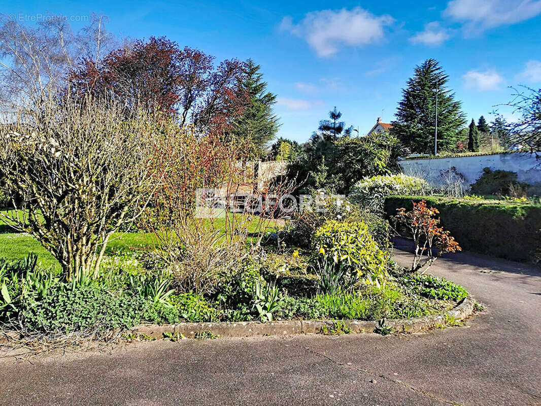 Terrain à NEUVILLE-SUR-SAONE
