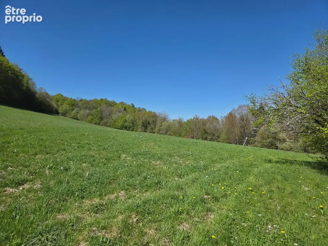 5 minutes de maîche, ferme sur 18ha de terrain - photo 4
