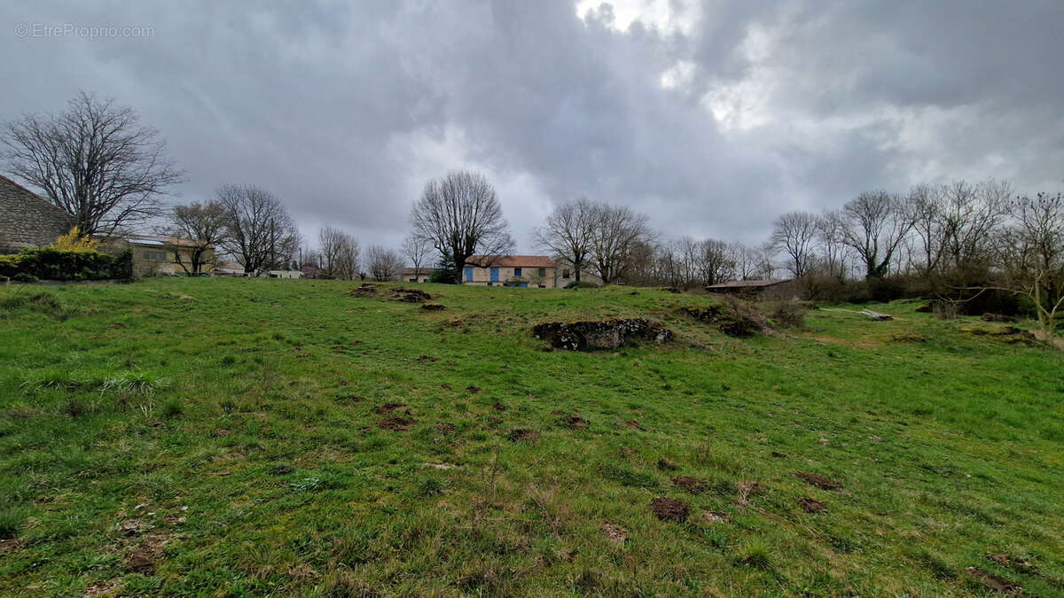 Terrain à LE CAYLAR