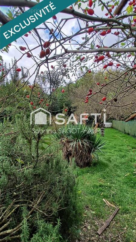 Photo 1 - Maison à ISSOUDUN