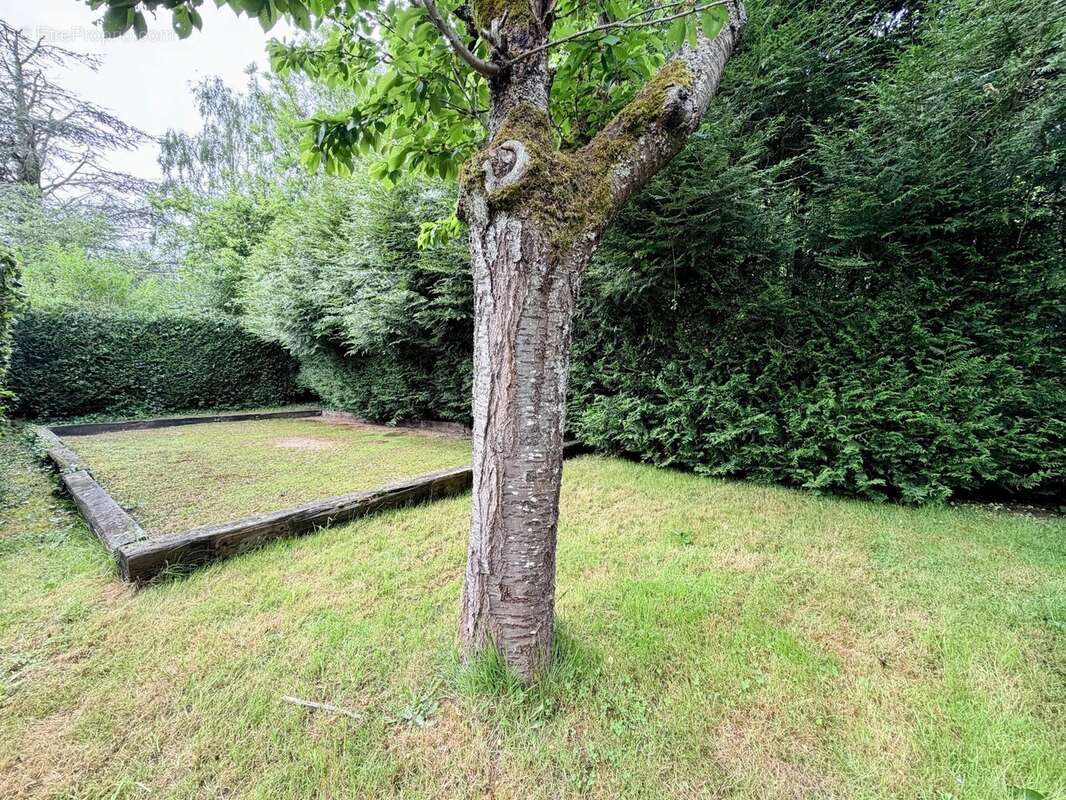 Grande propriété 9 chambres à BERNAY - Plain-pied possible - 290m2/16000m2 - photo 17
