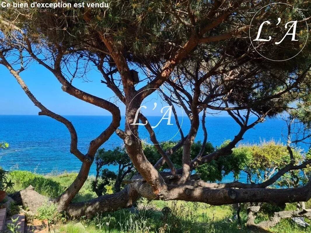 Maison à PORTO-VECCHIO