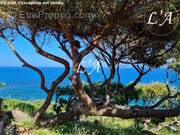 Maison à PORTO-VECCHIO