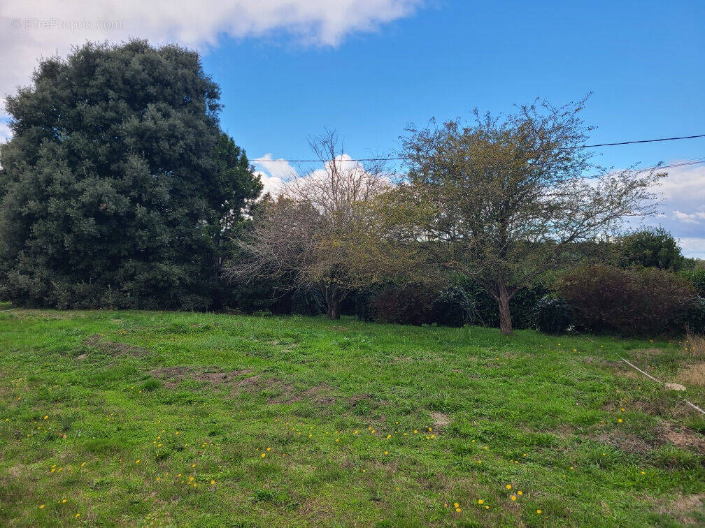 Terrain à LARMOR-BADEN