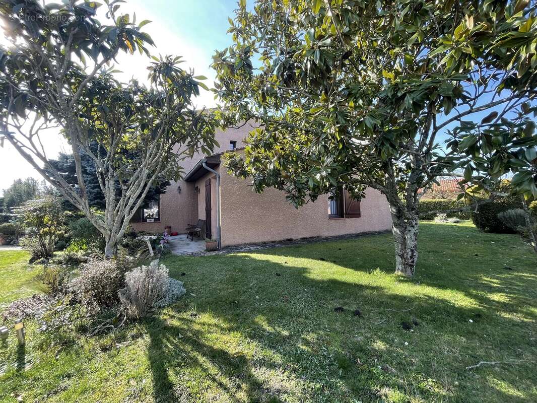 Maison à VILLENEUVE-TOLOSANE