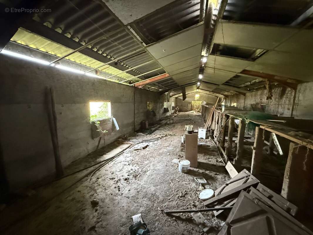 Maison à SAINTE-CHRISTIE-D&#039;ARMAGNAC