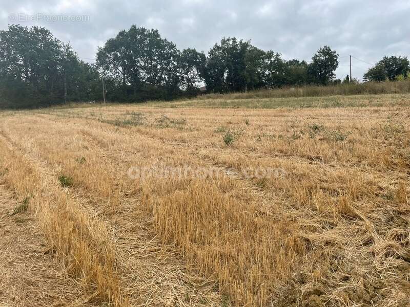 Terrain 2500 m² - photo 4