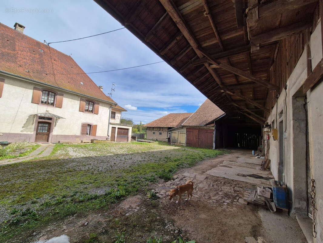 Maison à STEINBRUNN-LE-HAUT