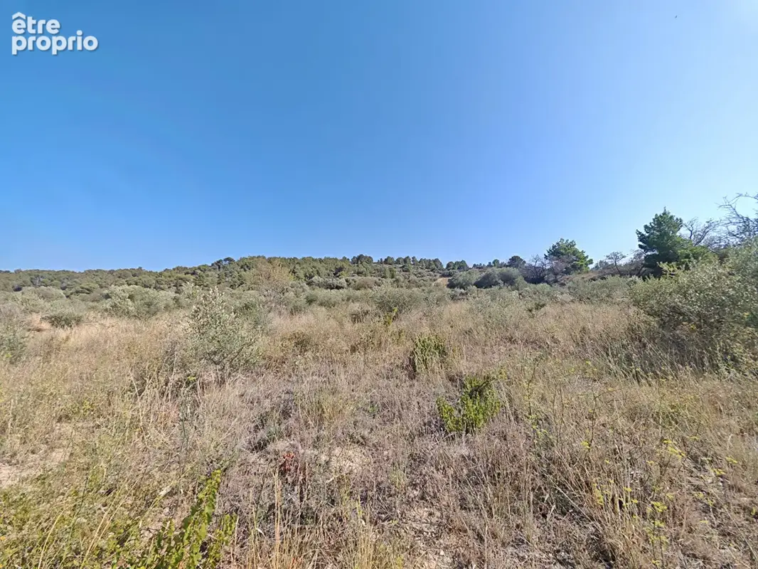Terrains Bages 8880m2 - photo 3