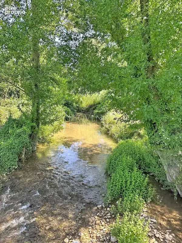 Propriété d'exception avec moulin du 19ème siècle, villa indépendante, 2 piscines sur 1,6 hectare - photo 28