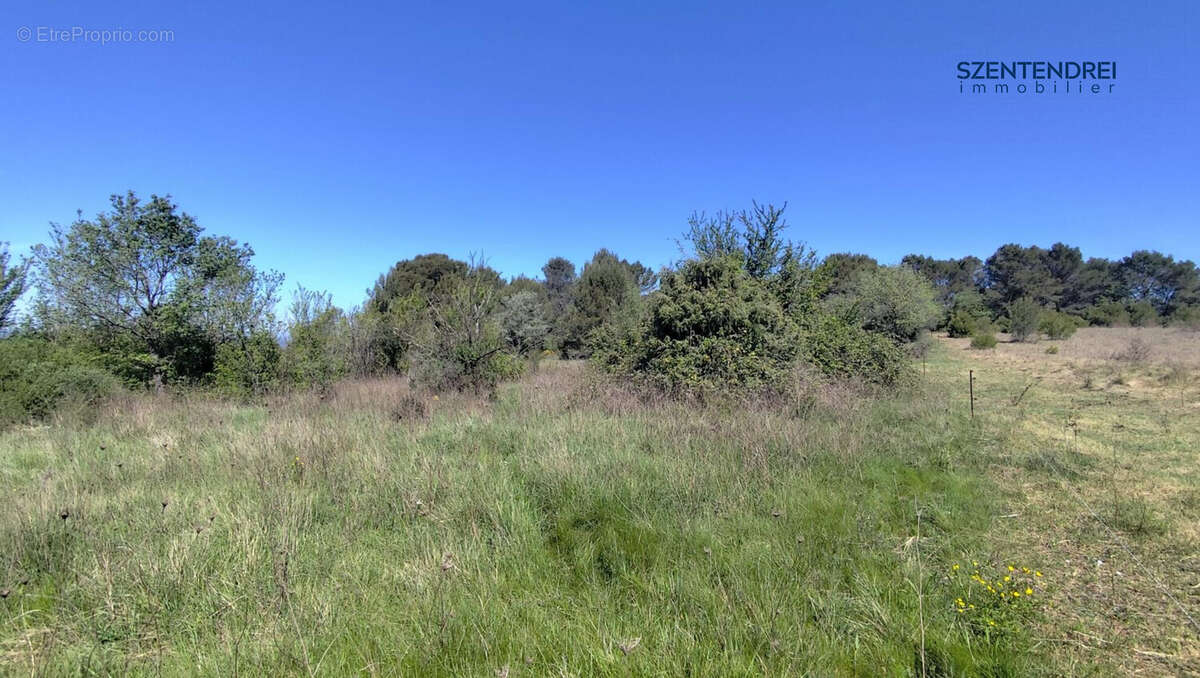 Terrain - agricole - Souvignargues - Gard  - Terrain à SOUVIGNARGUES