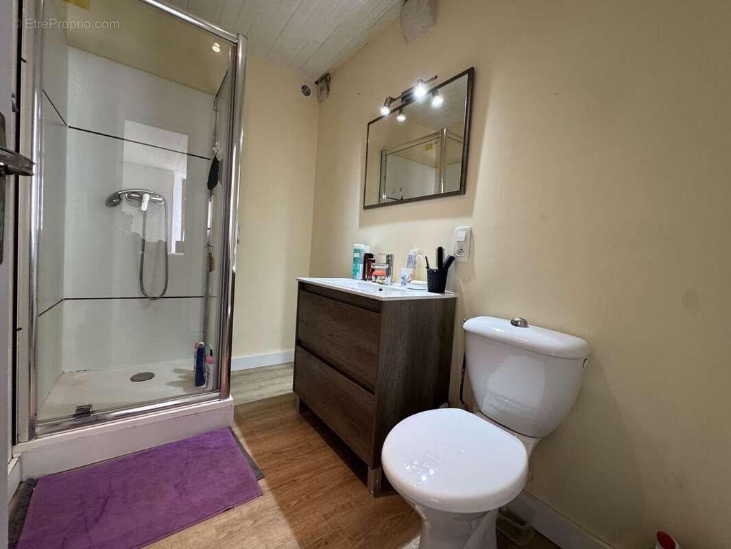 IMG1983 - Maison à SAINT-CYPRIEN