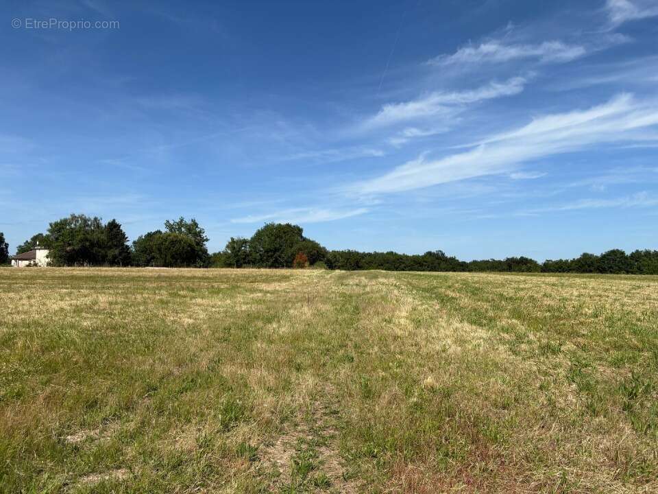 Terrain à GARGAS