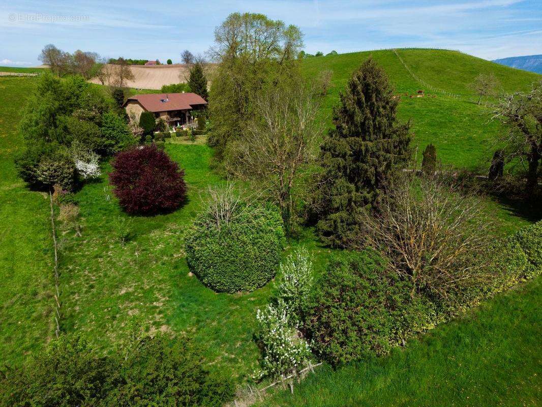 Maison à SAINT-GEOIRE-EN-VALDAINE