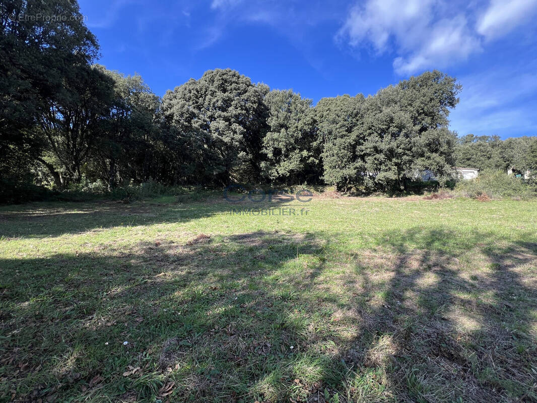 Terrain à SANTA-MARIA-SICHE