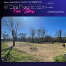 Terrain à VILLE-SUR-COUSANCES