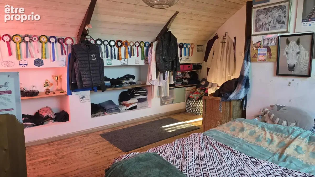 Rare à la vente   ensemble équestre sur plus de 5 hectares   argol - photo 8
