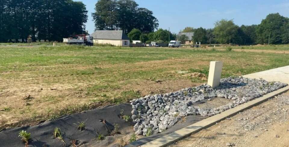 Terrain à FAUVILLE-EN-CAUX