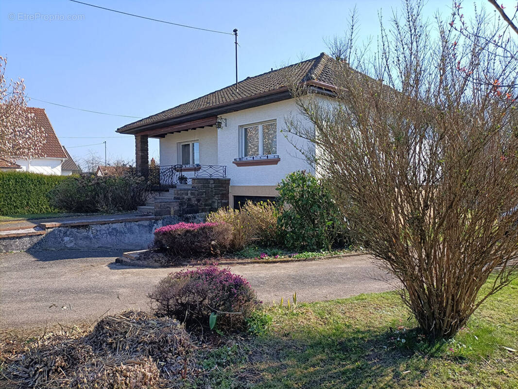 Maison à LEMBERG