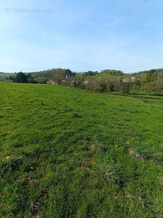 Terrain à FERRIERES-SUR-SICHON