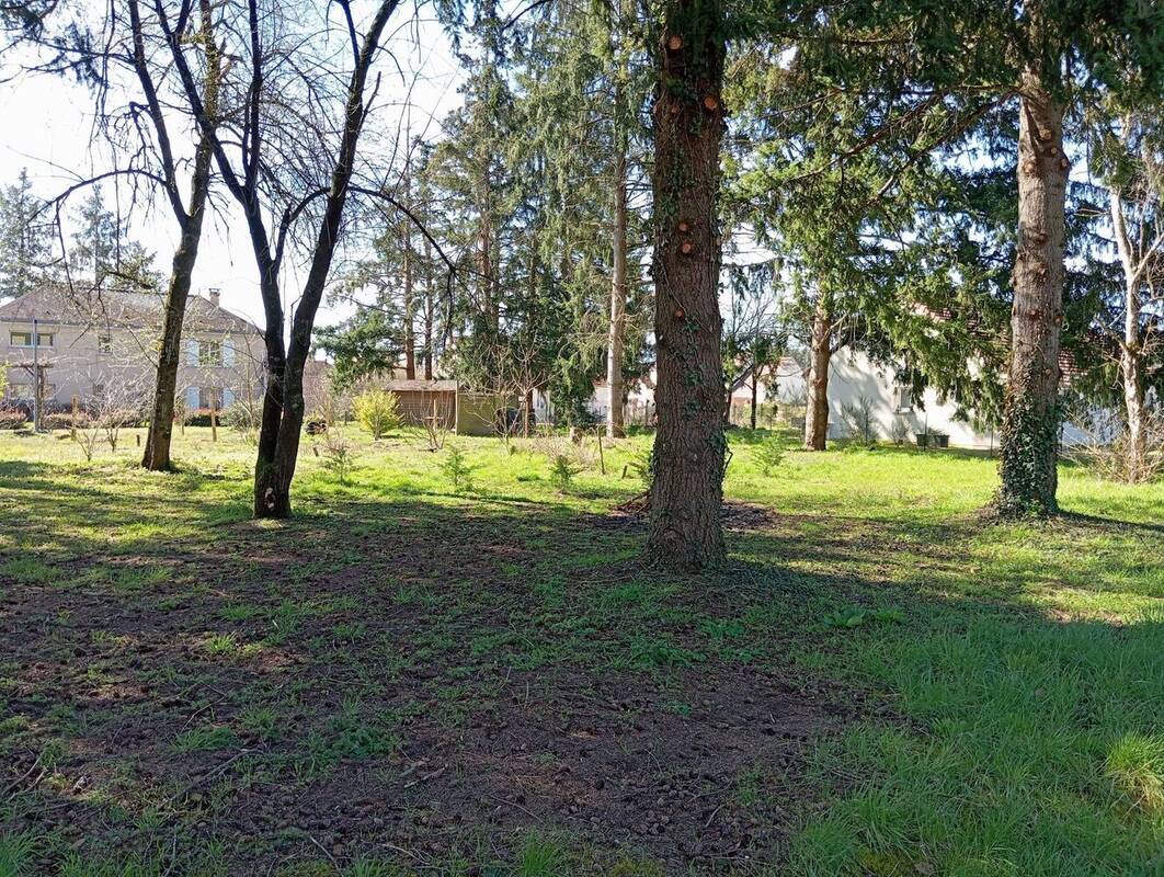 Terrain à CHATEAUNEUF-SUR-LOIRE