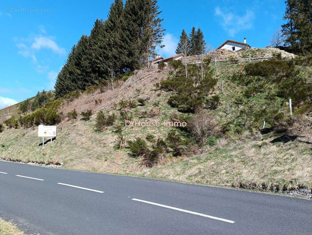 Terrain à SAINT-CIRGUES-EN-MONTAGNE