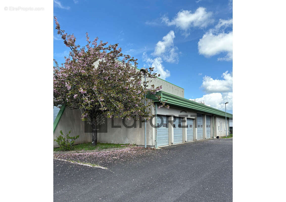 Commerce à RIOM-ES-MONTAGNES