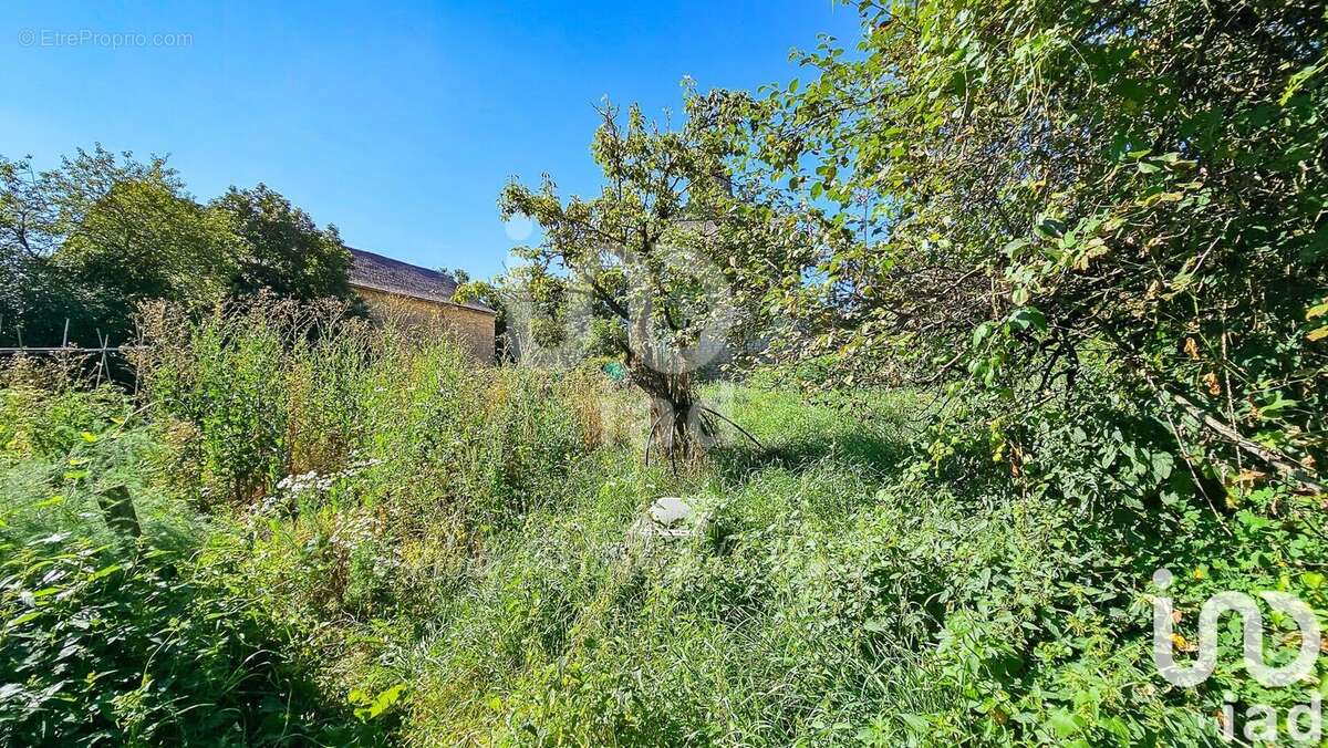 Photo 4 - Autre à SEVERAC-LE-CHATEAU