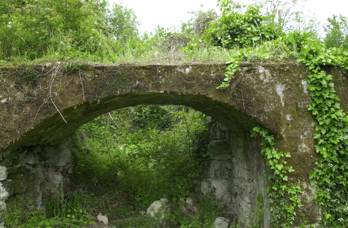 Ancienne ferme avec bois et prairies - photo 8