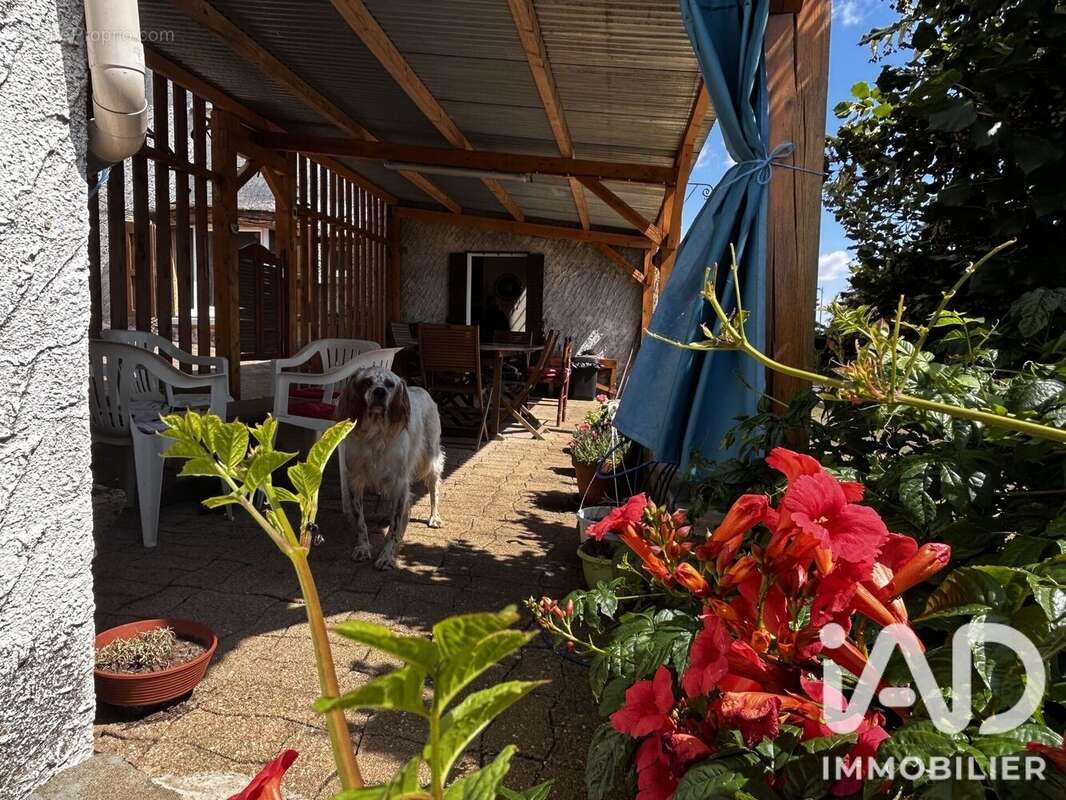 Maison 70 m² à Cassaniouze  - photo 7