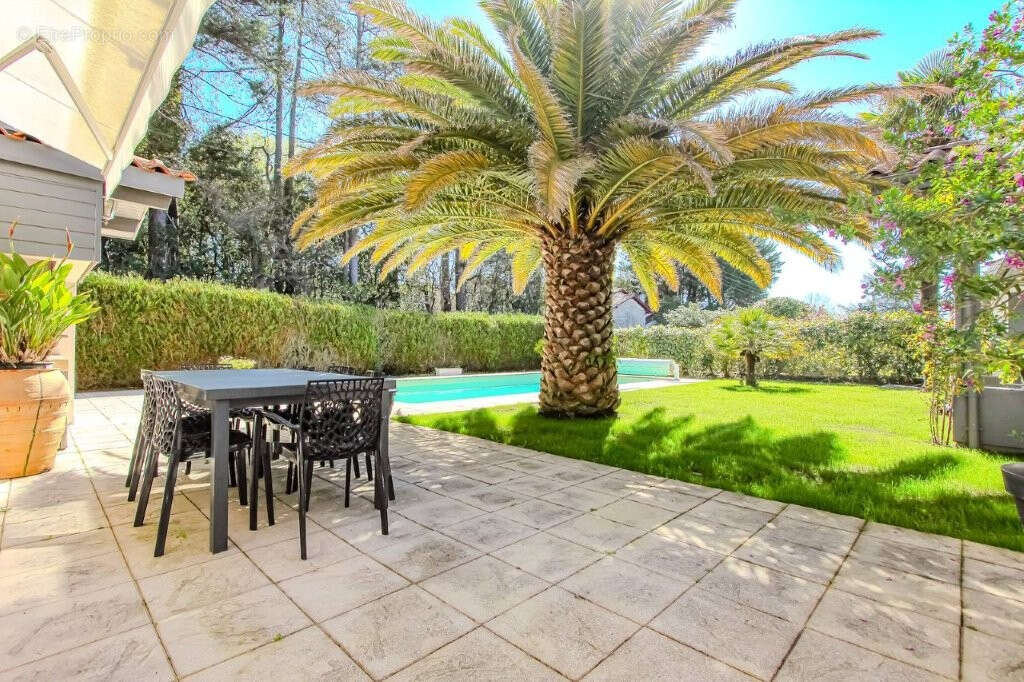 Biarritz sud  a proximite du golf d'ilbarritz  et des plages tres belle maison de plain pied piscine - terrasse ? jardin ? veran - photo 5