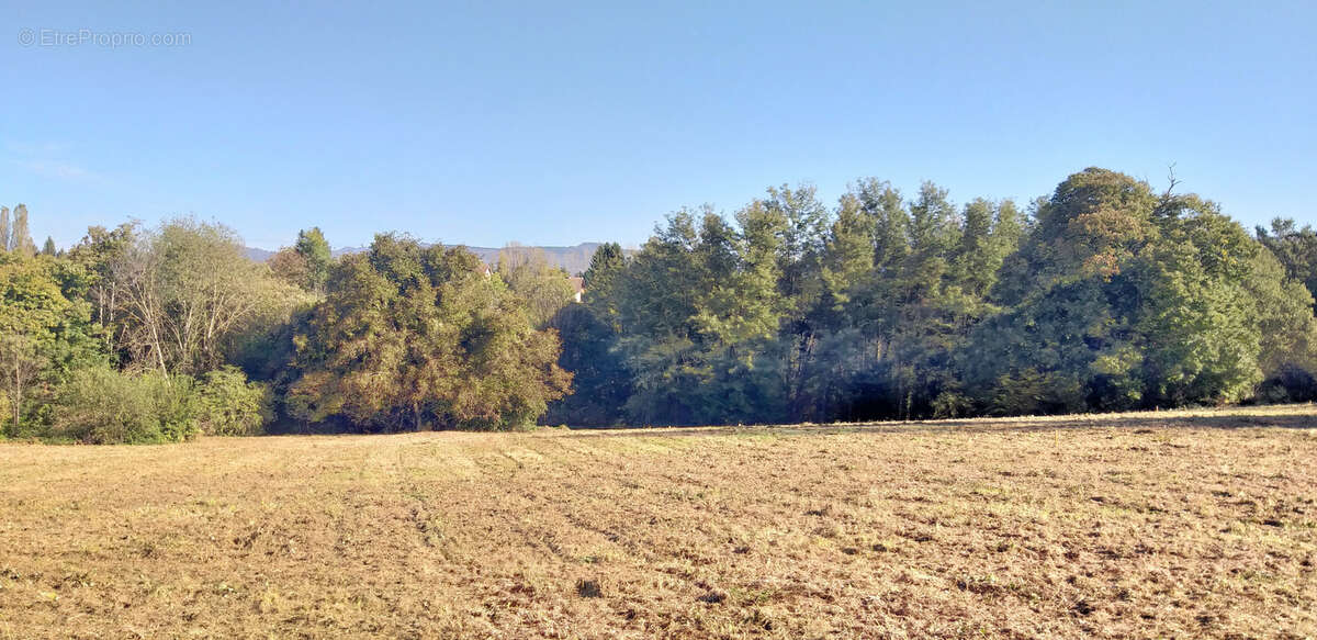 Terrain à LE PONT-DE-BEAUVOISIN