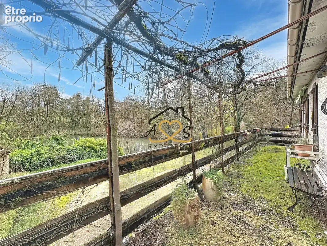 Maison avec grand terrain arboré et étang   7 025 m2   Puy-Guillaume (lieu-dit Le Pas) - photo 8
